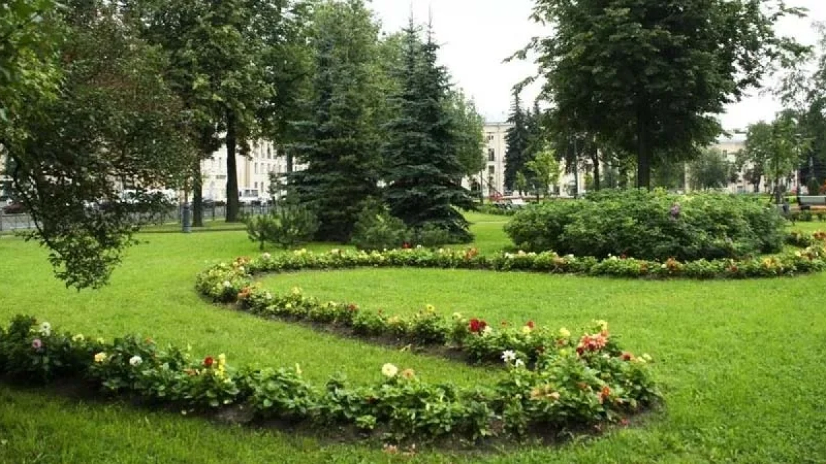 В Воронеже за 2 млн проведут озеленение территории