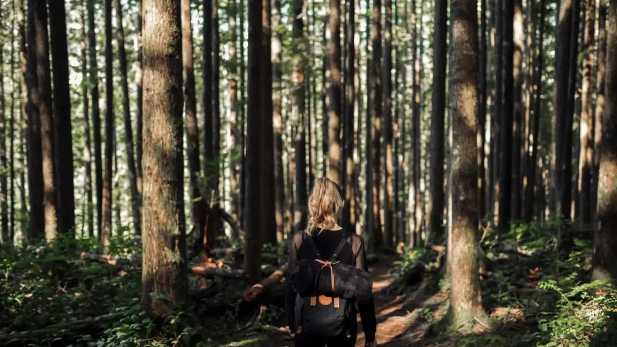 В Воронежской области за март пропало 96 человек
