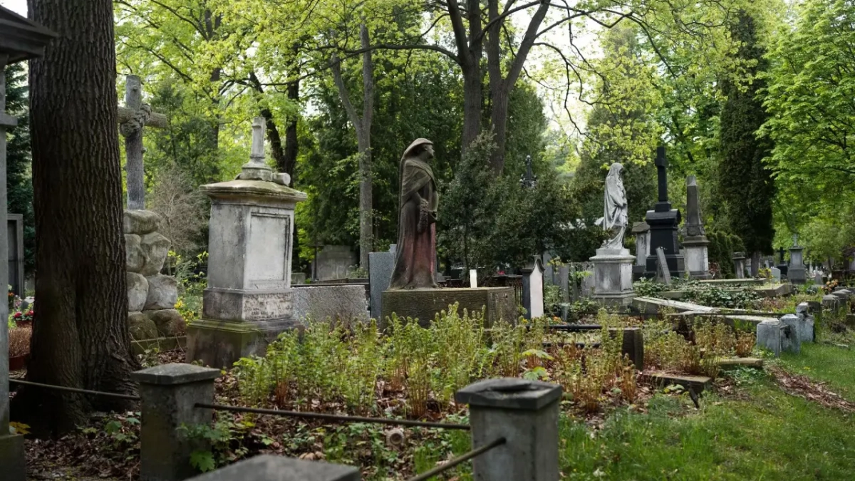 В Воронеже запустят специальные автобусы до кладбищ