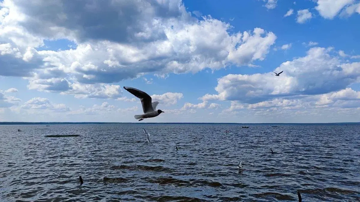 5 новых курортов России рядом с Москвой: где отдохнем через пару лет