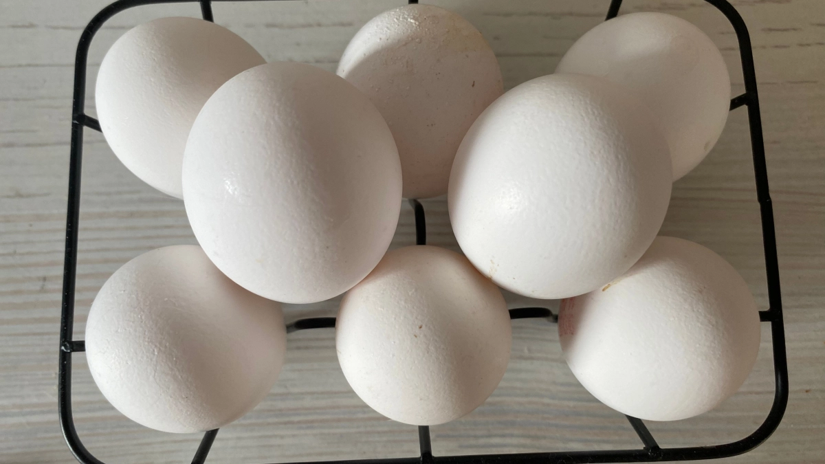 В Воронежской области вновь подорожали яйца