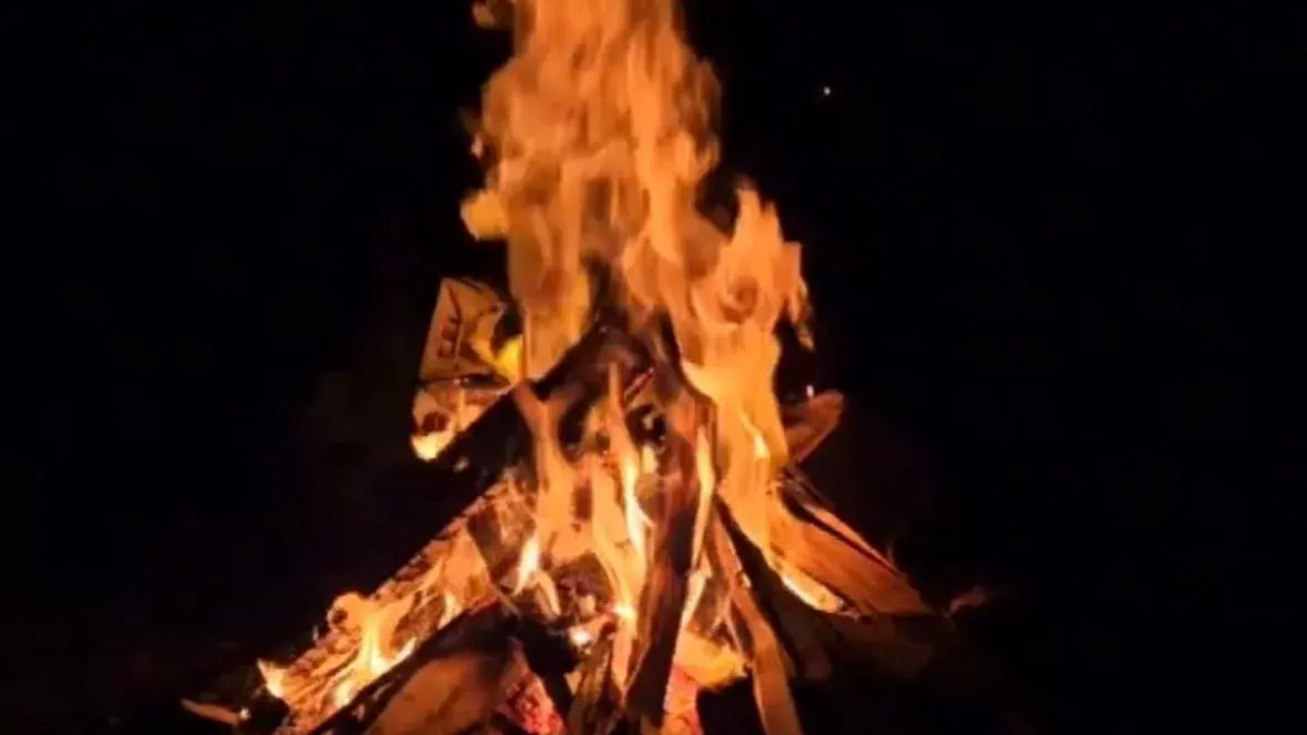 В Воронежской области за лесные пожары начнут штрафовать на 400 тысяч