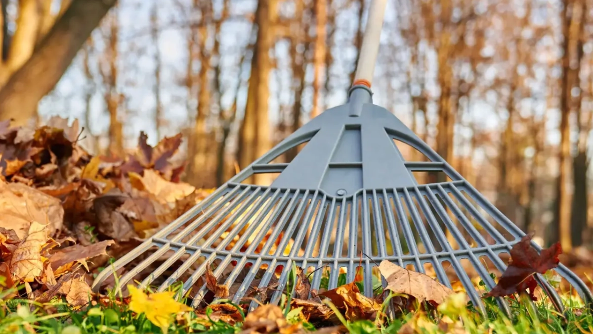 В Железнодорожном районе Воронежа убрали 240 кубов мусора и 28 га чистой земли