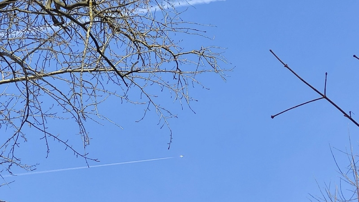 На 200 метров удлинят взлетную полосу воронежского аэропорта