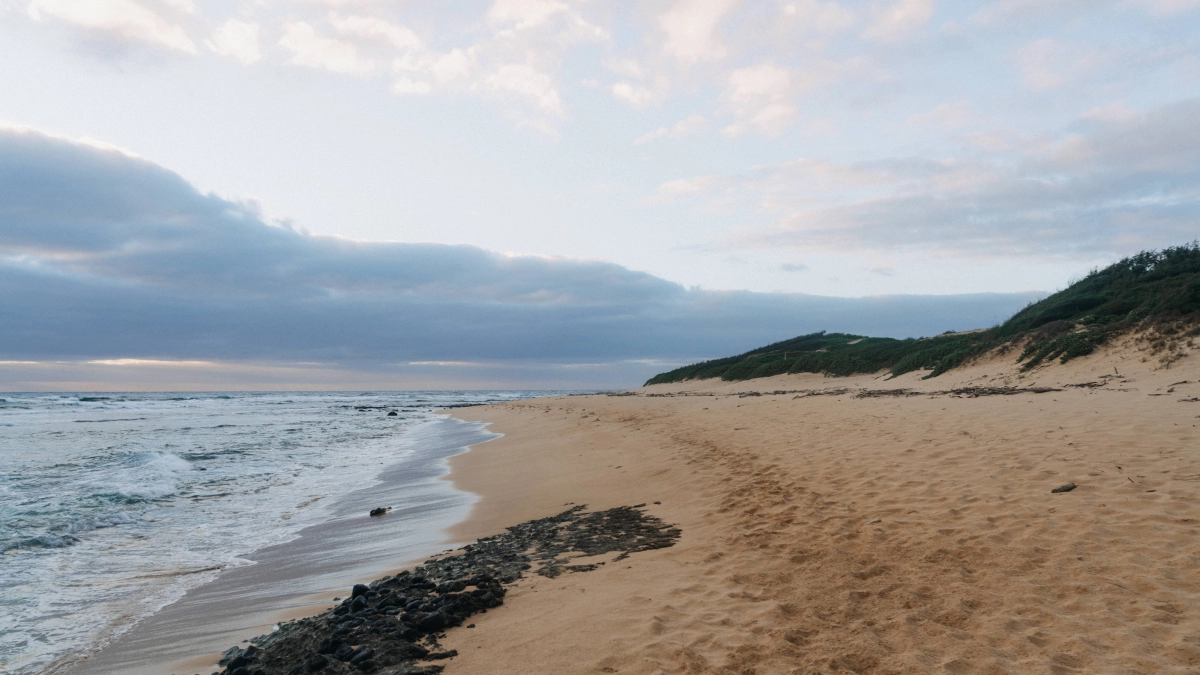 Прозрачная вода и полное уединение: тайные пляжи Чёрного моря, о которых не пишут в путеводителях