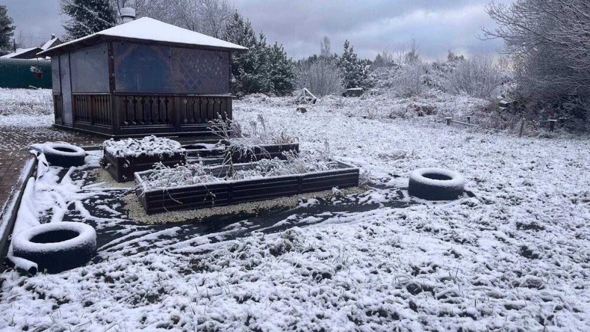 Снег ожидается в Воронежской области после 17-градусного тепла