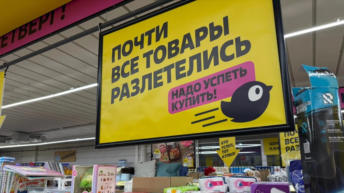 Зашёл в «Чижик» за хлебом, а вышел с пастой, жаровней и мойкой высокого давления: обзор новинок в Чижике — цены от 49 рублей