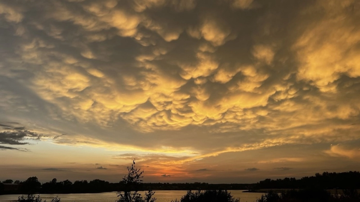 За весну уровень Дона в районе Павловска поднялся на 2,5 метра