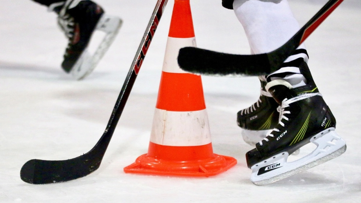 На ледовый дворец под Воронежем потратят 672 млн рублей