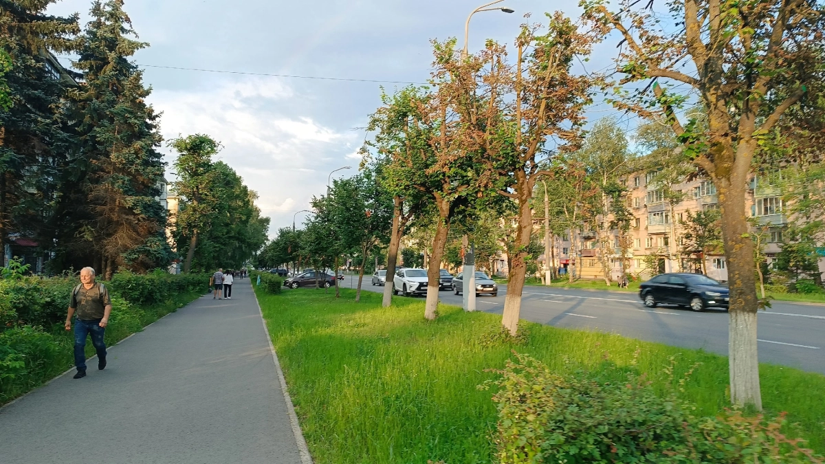 Почему любые споры — это удел глупых: в них рождается не истина, а иллюзия — древнеиндийская мудрость