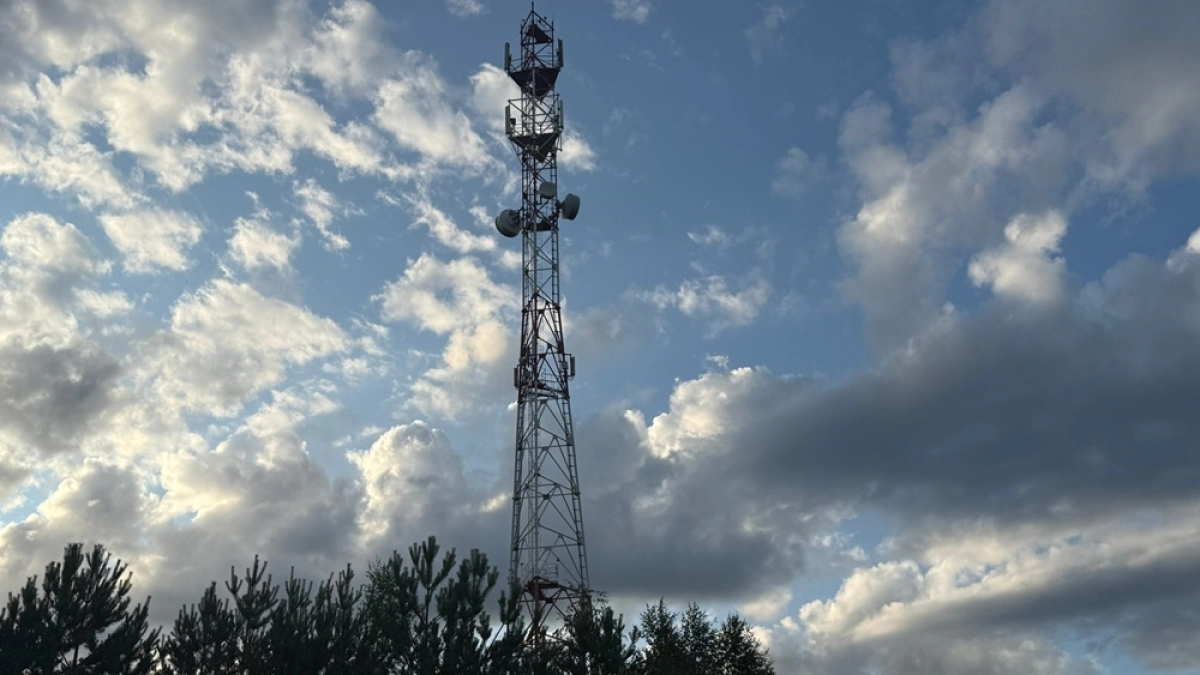 40 станций беспроводного интернета появятся в селах Воронежской области