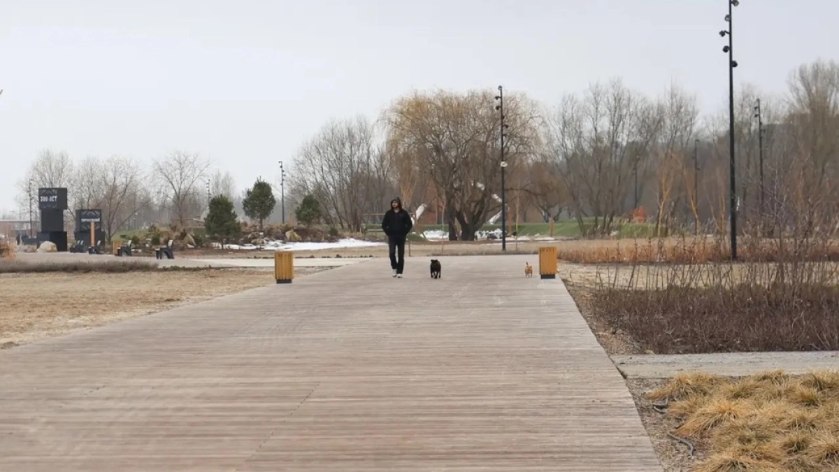 В 2025 году в Воронежской области обновлено более 160 общественных пространств