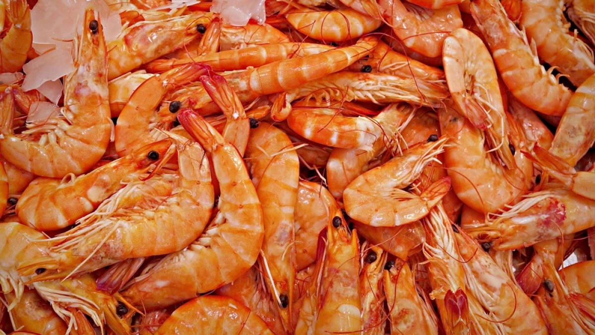 В Воронежской области планируют создать первую креветочную ферму