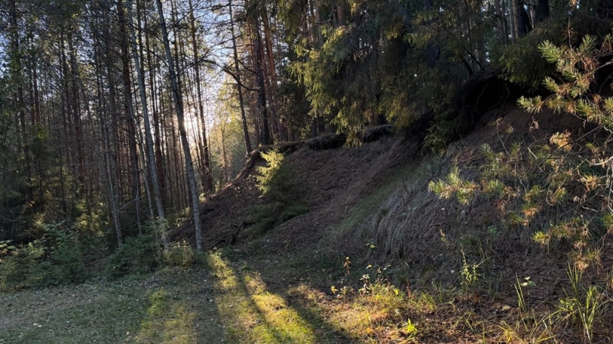 Минприроды перепишет Красную книгу Воронежской области