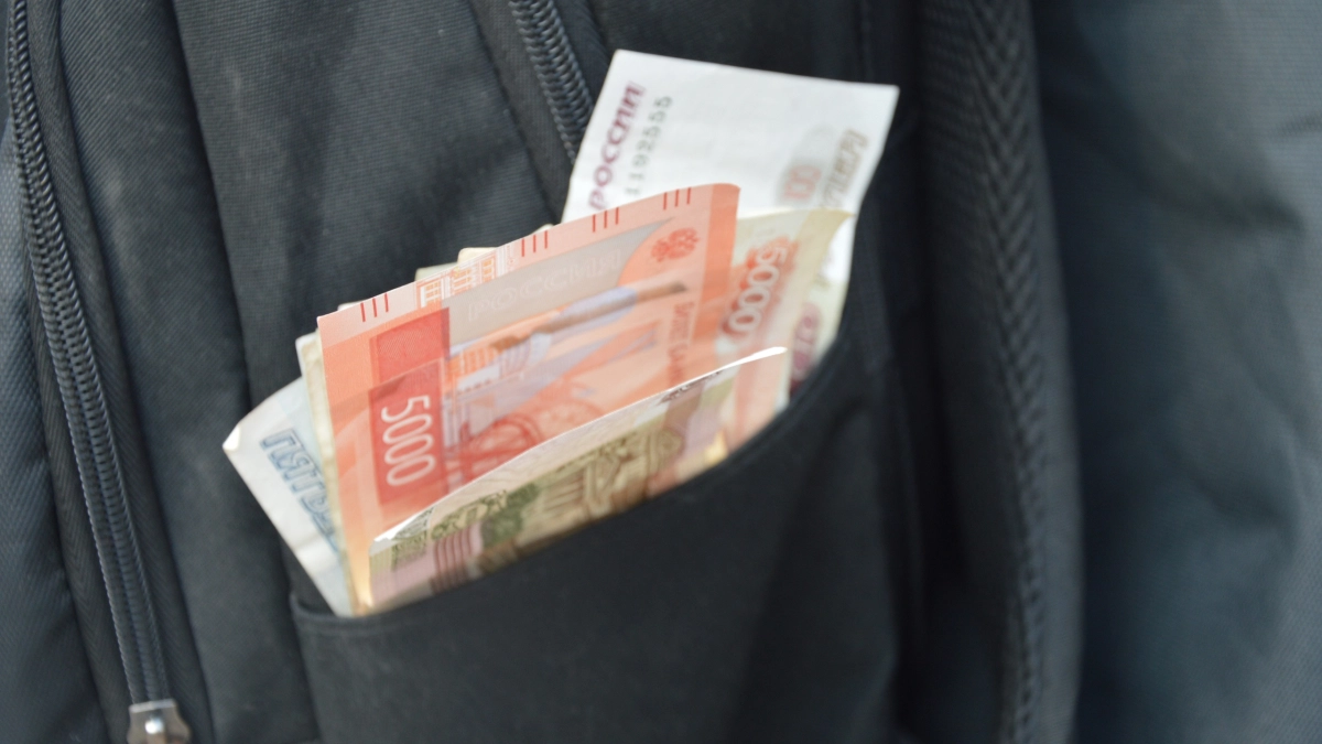 Воронежский экс-депутат осужден за сокрытие 13 млн рублей от налоговой