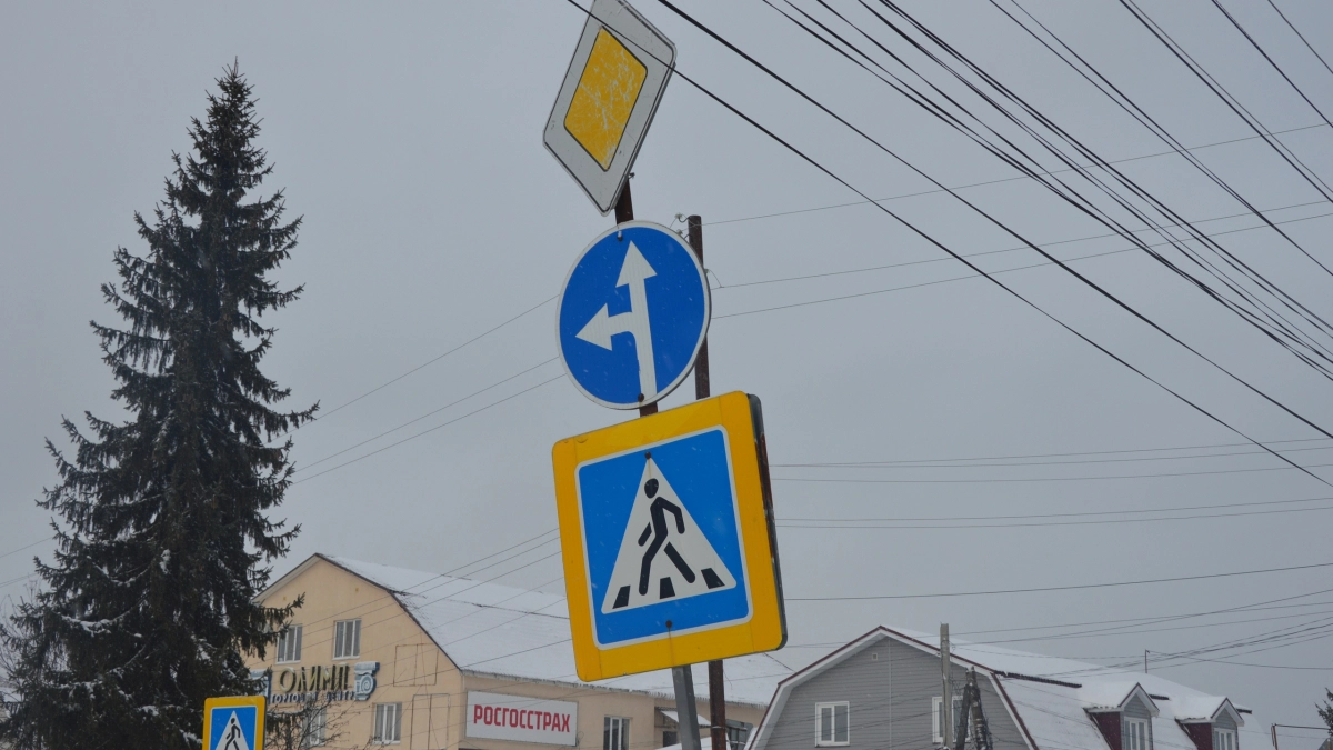 В Воронеже временно изменят маршруты 12 автобусов из-за футбольного матча