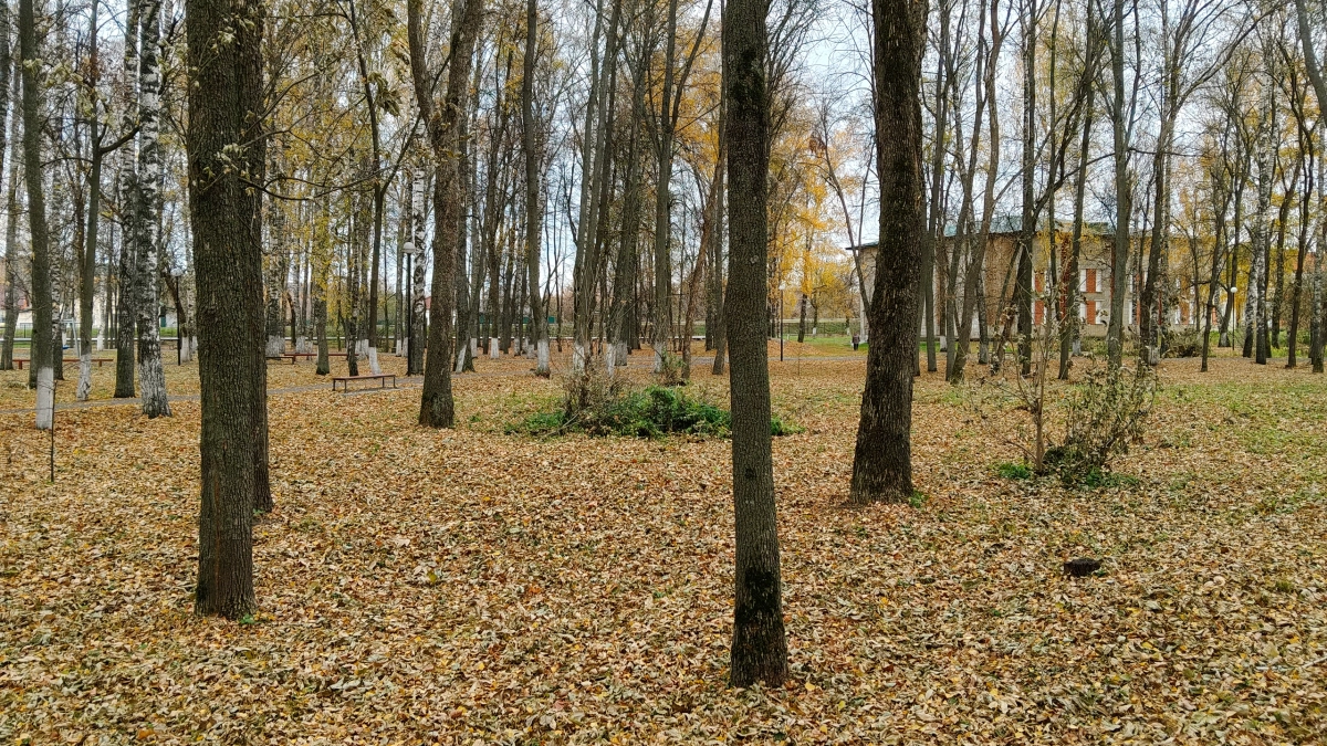 Астрологический прогноз на 13 апреля 2026: удача, любовь и предостережения для каждого знака