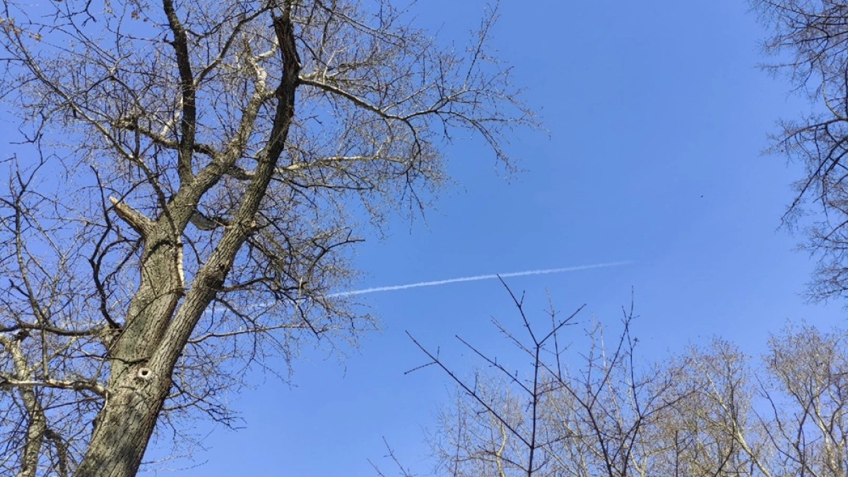 4 часа в Воронежской области длилась опасность атаки БПЛА