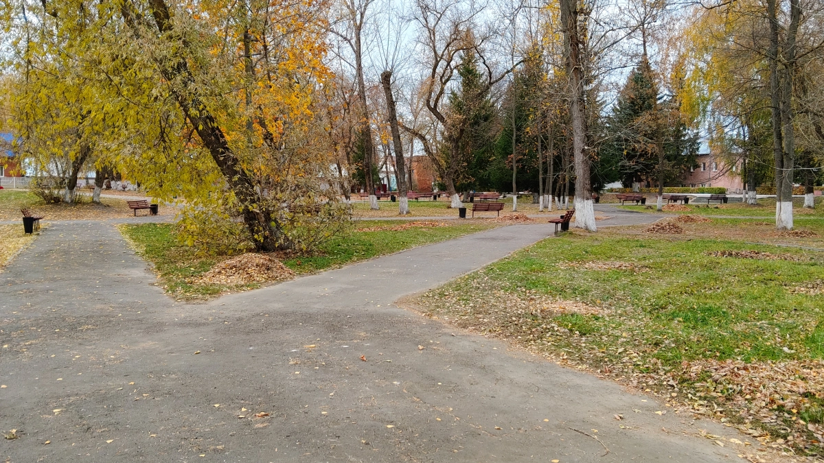 Солнечная активность 15 апреля: чего ждать от магнитной бури и как облегчить состояние