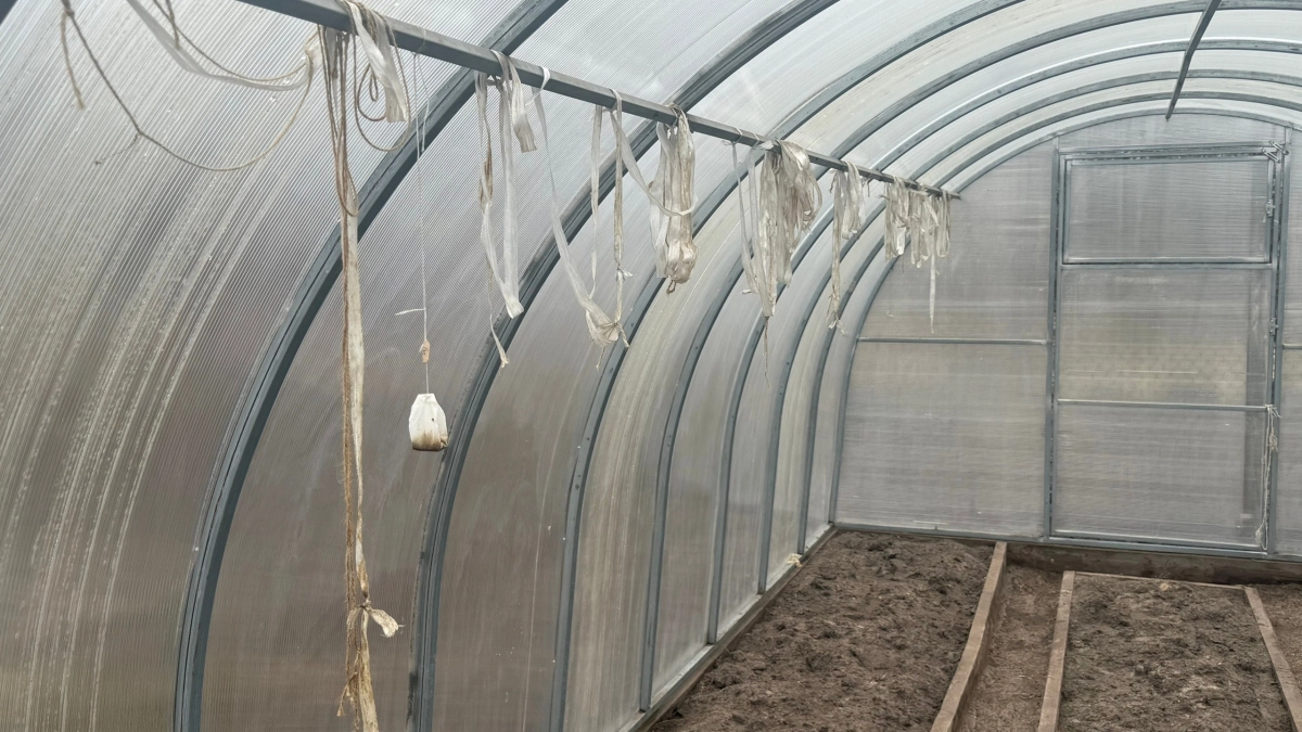 Какие удобрения внести в теплицу весной для богатого урожая овощей: полный список от органики до минеральных комплексов