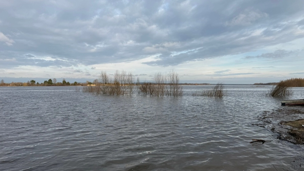 15 апреля вода на реке Дон в Воронежской области начала снижаться