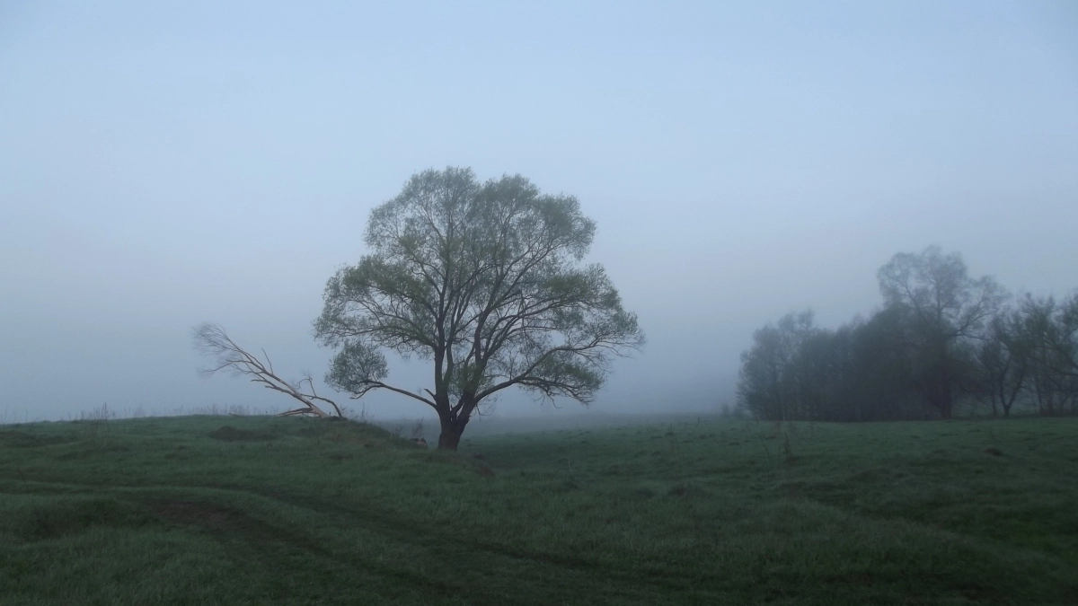 Гороскоп на 17 апреля 2026: звёзды советуют Овнам напор, Тельцам тишину, Близнецам общение
