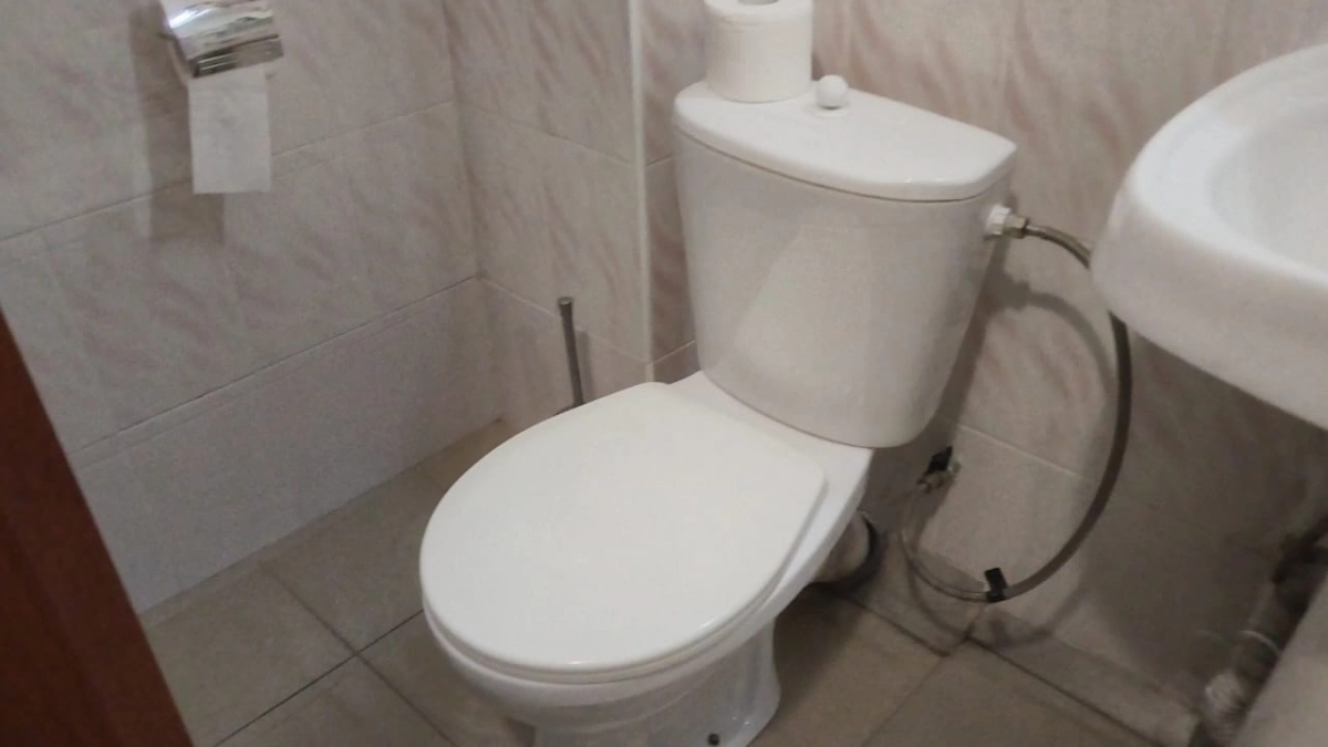 Как я за 5 секунд убираю запах в туалете без освежителей — делюсь секретом старого сантехника