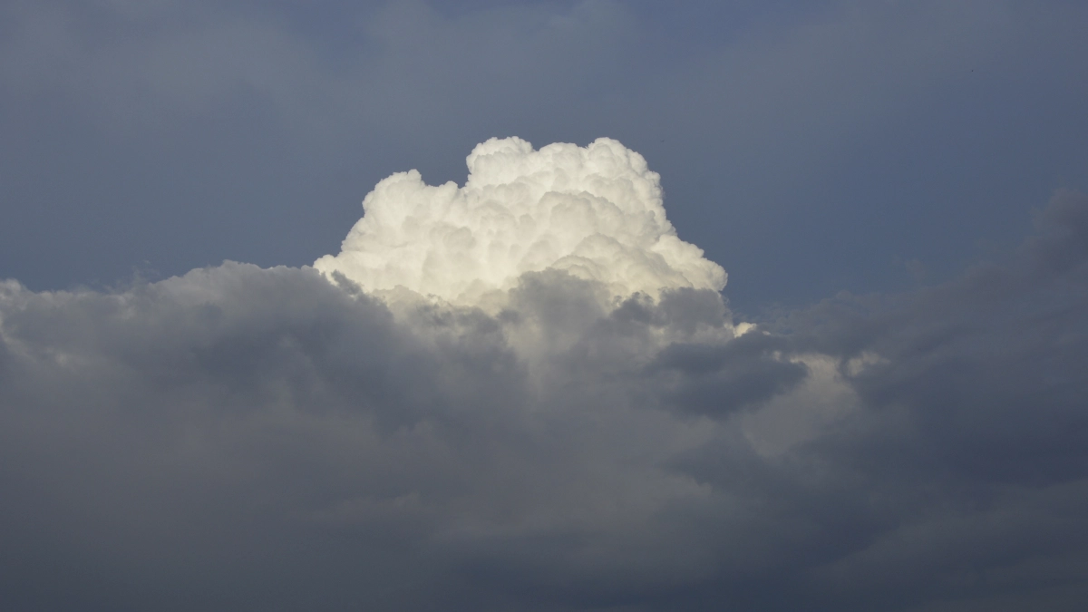 В Воронежской области объявили опасность атаки БПЛА и сбили несколько дронов 