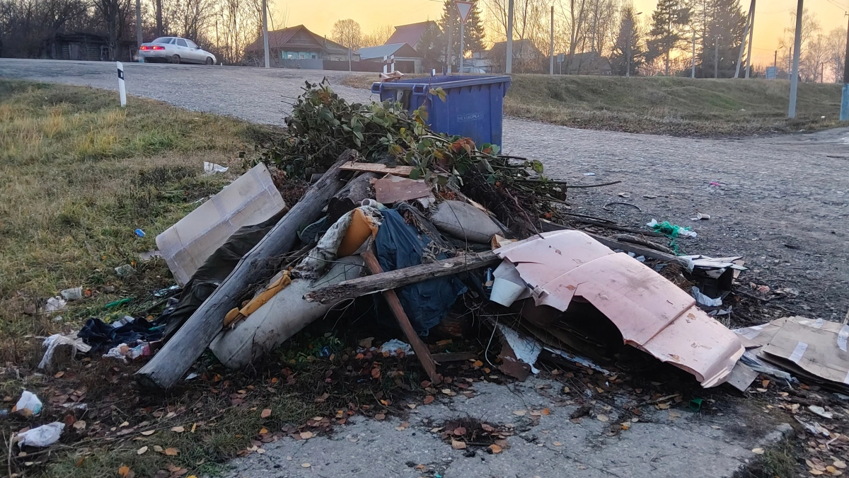 Под Воронежем сорвались тендеры на строительство мусорных полигонов за 2,4 млрд