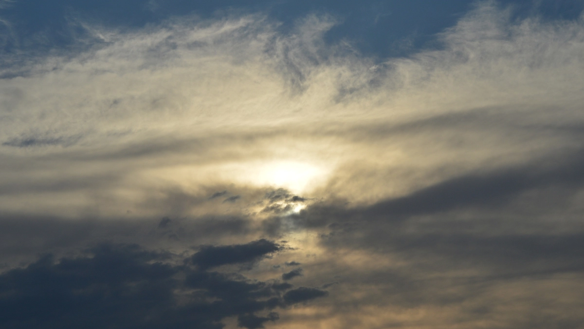 Больше 40 БПЛА сбили над Воронежской областью за сутки