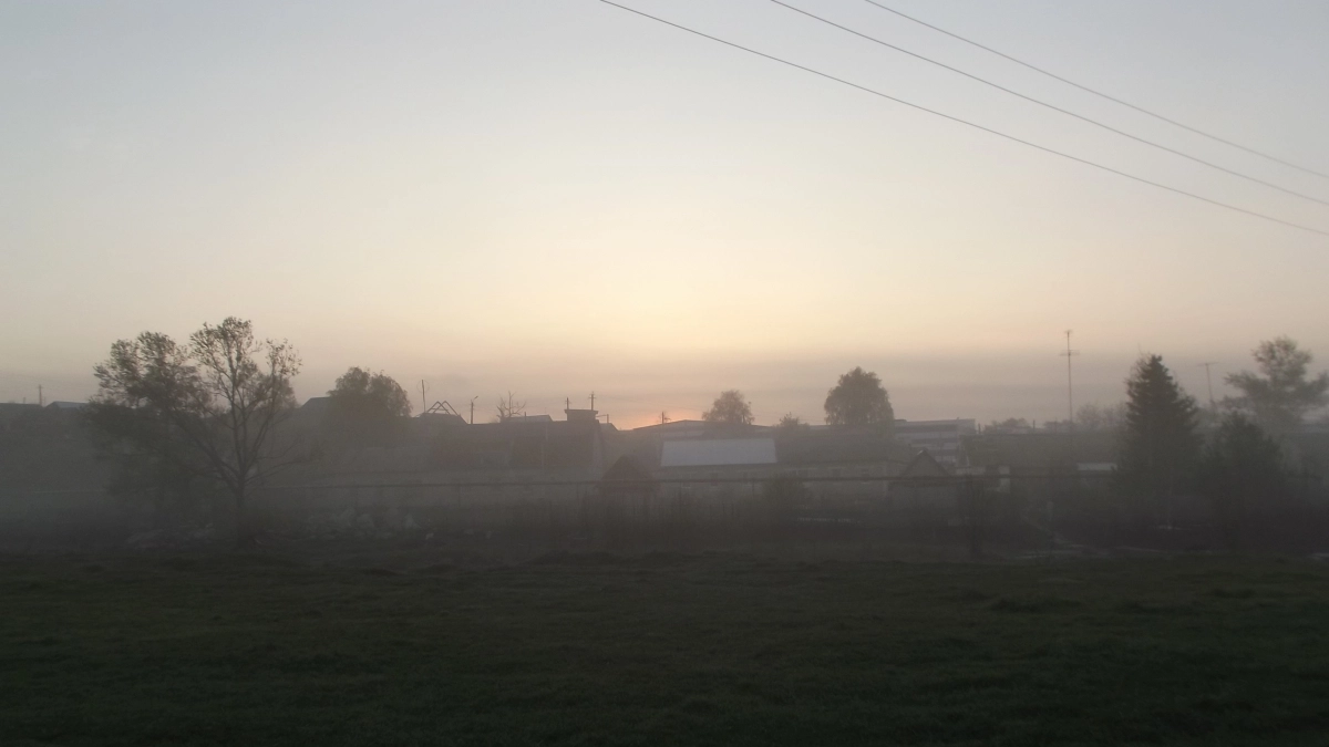 В Воронеж возвращаются заморозки: ночью ожидается до -2 градусов