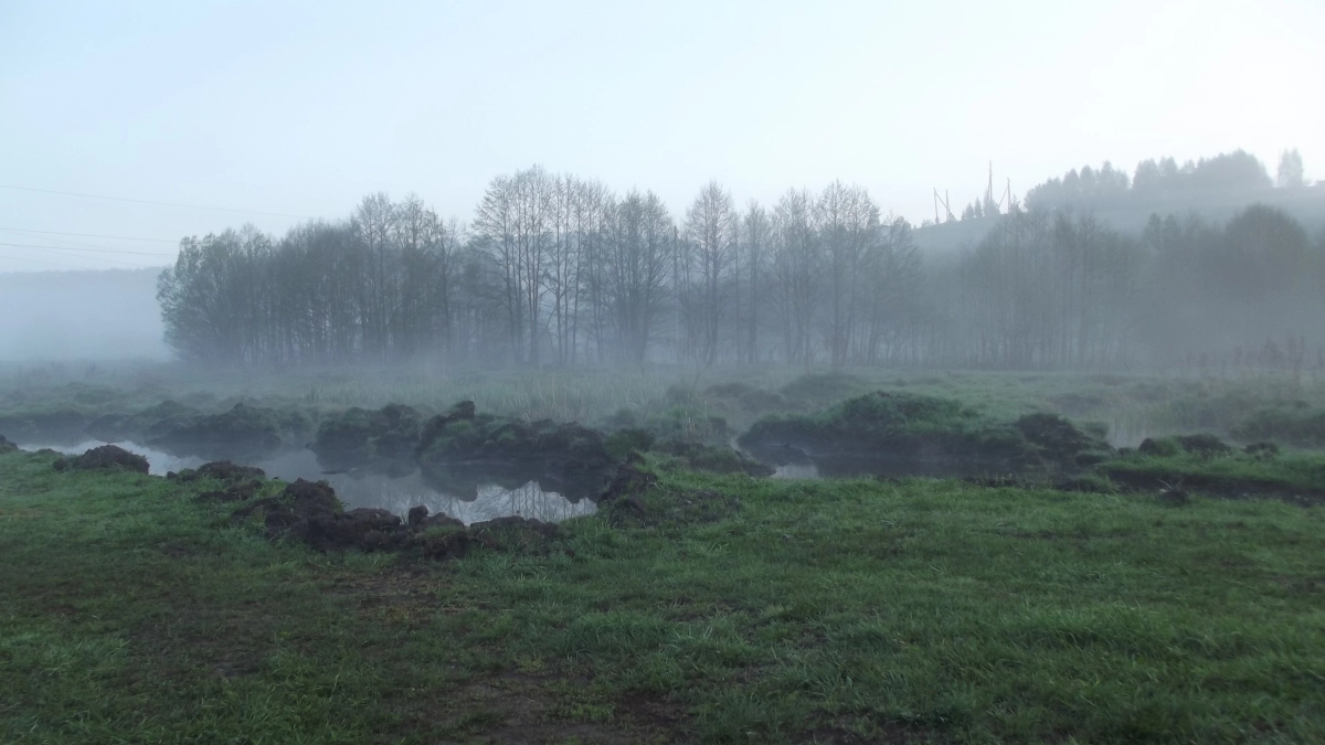 Воронежских охотников предупредили о необходимости сдать разрешения на добычу дичи