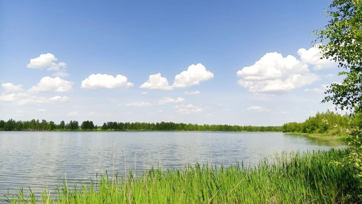 В Воронежской области полностью обновят плотину Шанинского пруда