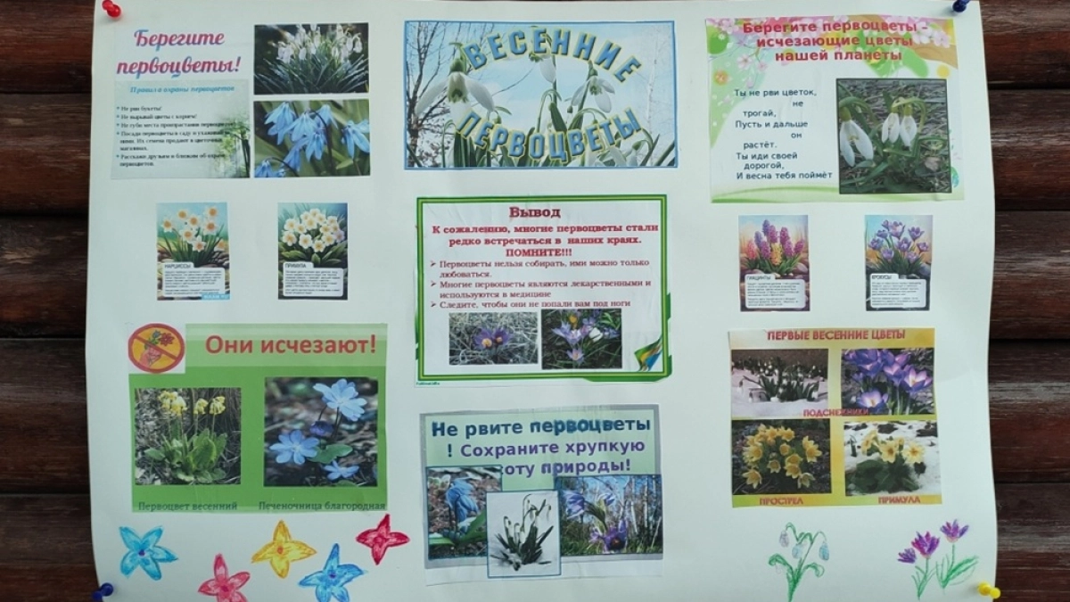 В Воронежском зоопарке дети расчищали территорию и исследовали весенние растения