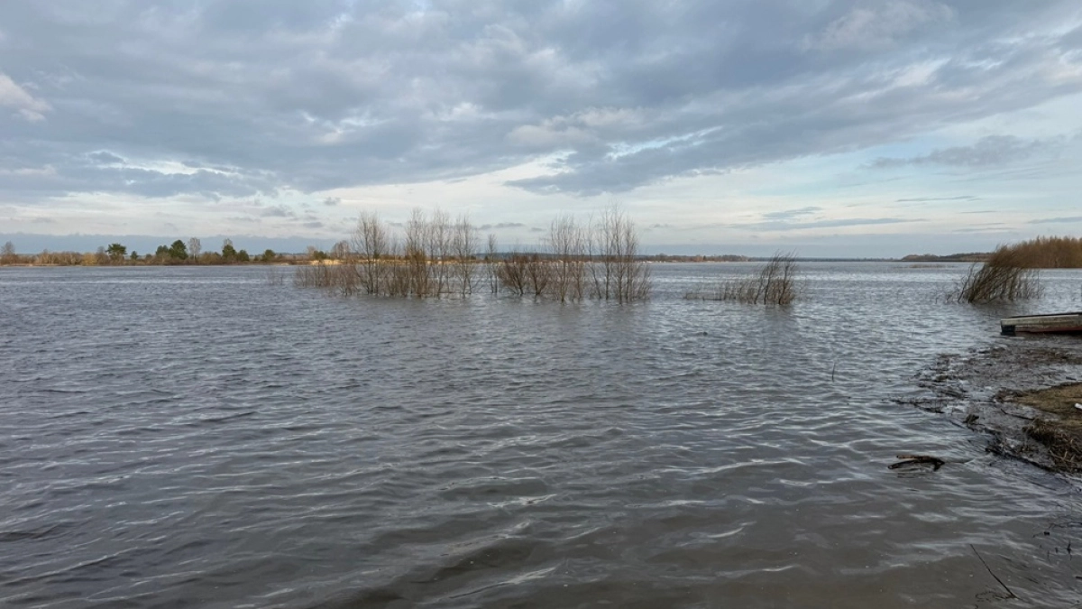 20 апреля под водой остаются 5 мостов в Воронежской области из-за паводка