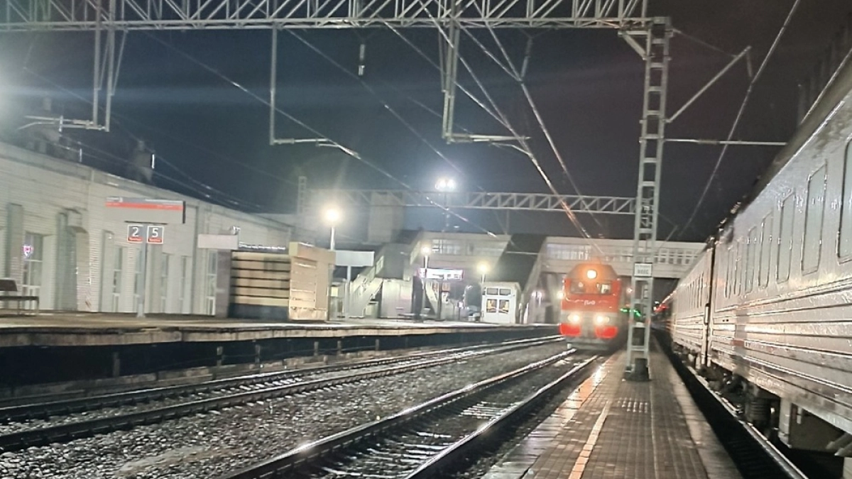 Свыше чем на 3 часа были задержаны поезда в Воронежской области