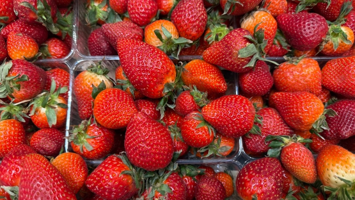 Южную клубнику начали продавать в Воронеже