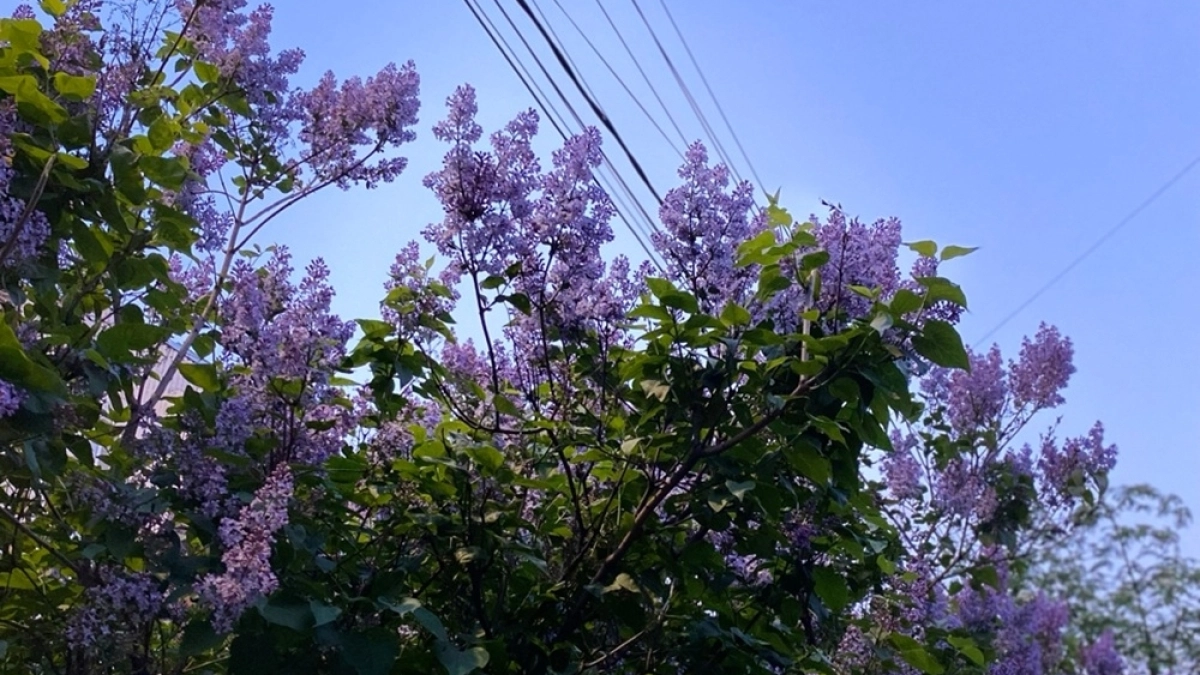 22 апреля 2026: на что обратить внимание каждому знаку зодиака — гороскоп на сегодня