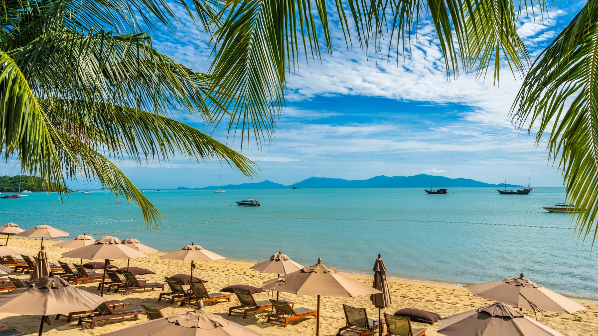 Бирюзовая сказка без шума и суеты: почему Камрань стала главным семейным курортом 2026 года