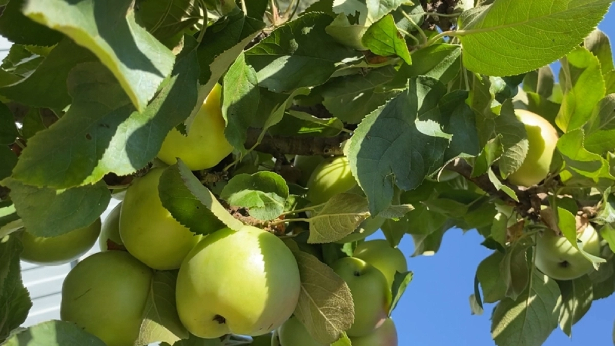 Гороскоп на сегодня — 23 апреля 2026: прогноз для всех знаков