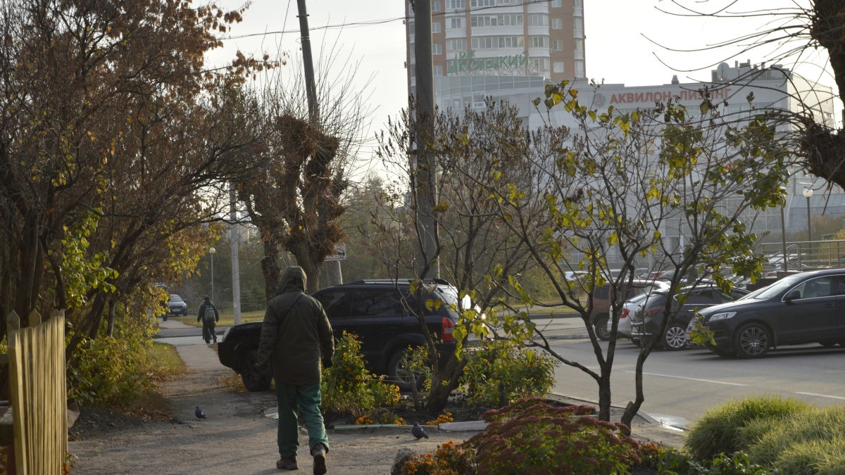 Слова, которые вас выдают: как речь раскрывает неуверенность в себе