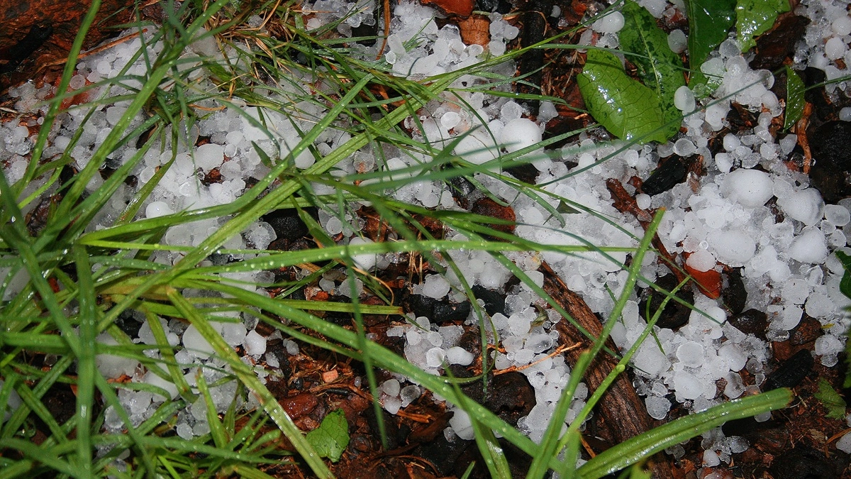 Весенний град нагрянул в Воронежскую область