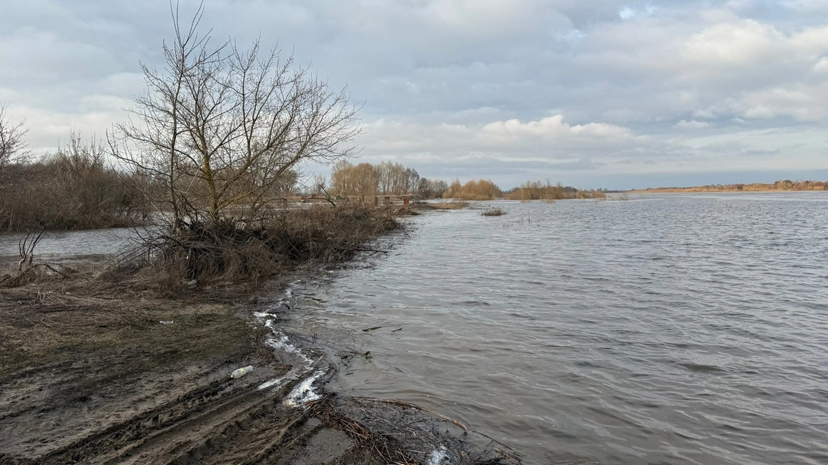 Паводок 24 апреля в Воронежском водохранилище пошел на спад
