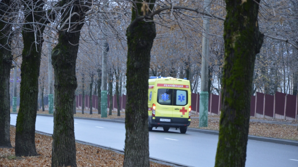 На улице Димитрова в Воронеже обнаружено тело 74-летней женщины