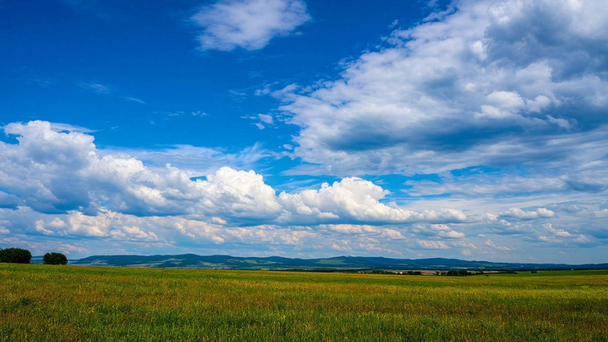 Силы ПВО и РЭБ ликвидировали 8 БПЛА в небе Воронежской области