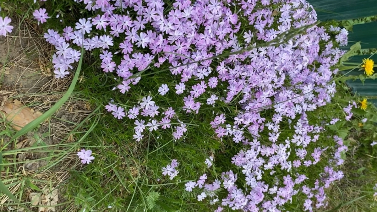 Солнечный удар по нервам: с 26 по 30 апреля Землю ждут мощные магнитные бури