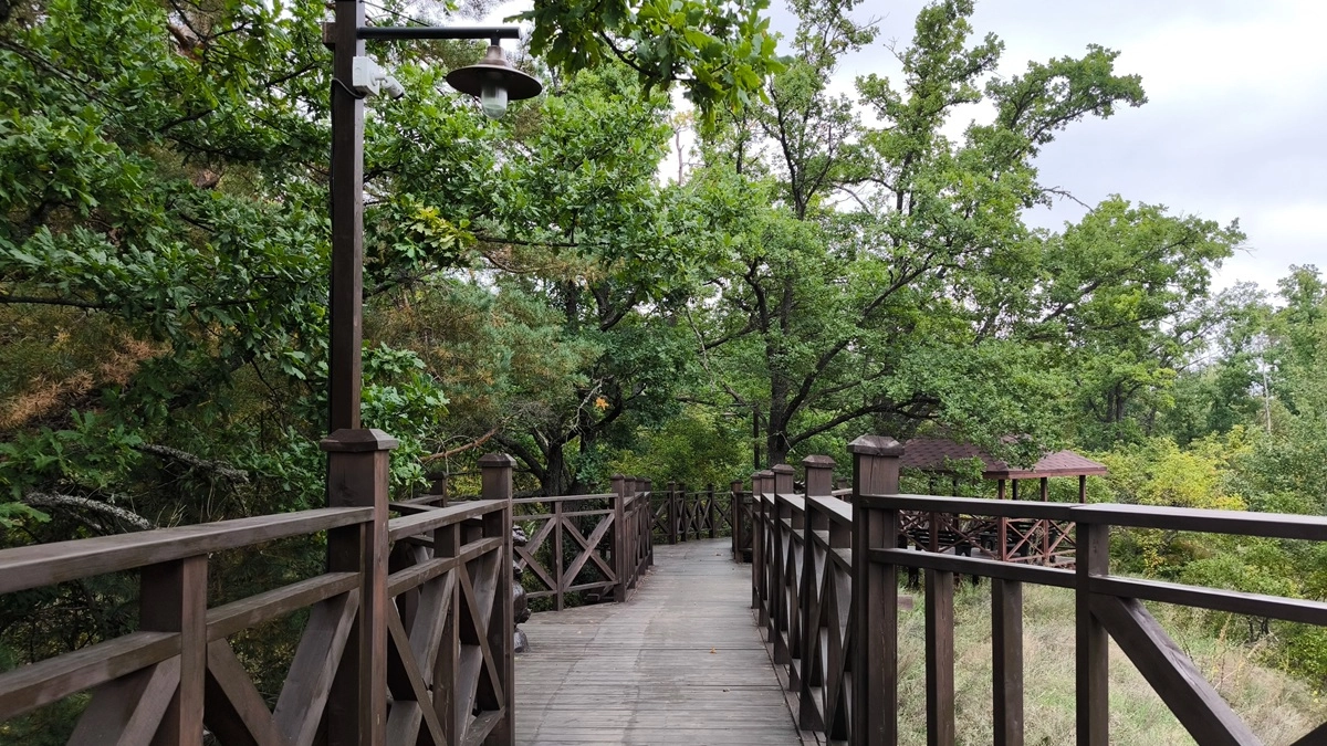 Летний график работы ввели в воронежском музее-заповеднике