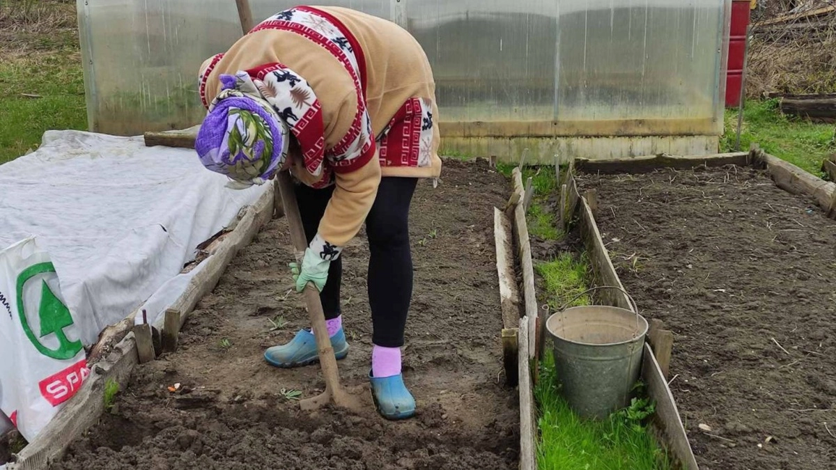 Воронежские дачники с началом сезона рискуют стать жертвами аферистов