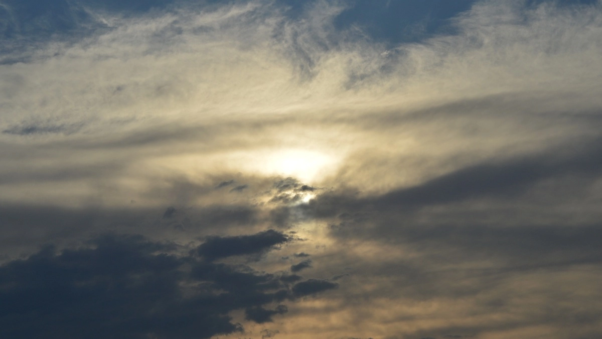 Первомай в Воронежской области должен стать самым теплым днем всей недели