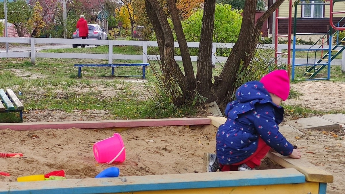 Воронежский детский омбудсмен назвала популярные темы обращений граждан